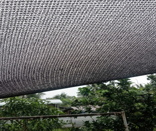 lưới dệt kim